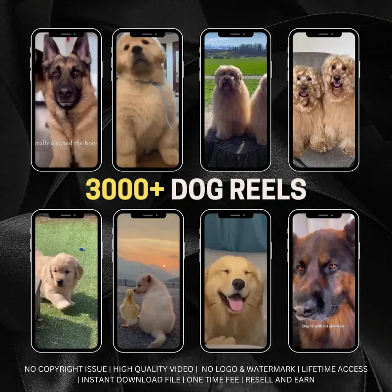 30,000+Awesome Faceless Reels Bundle! Faceless Instagram Reels with Master Resell Rights PLR Resell