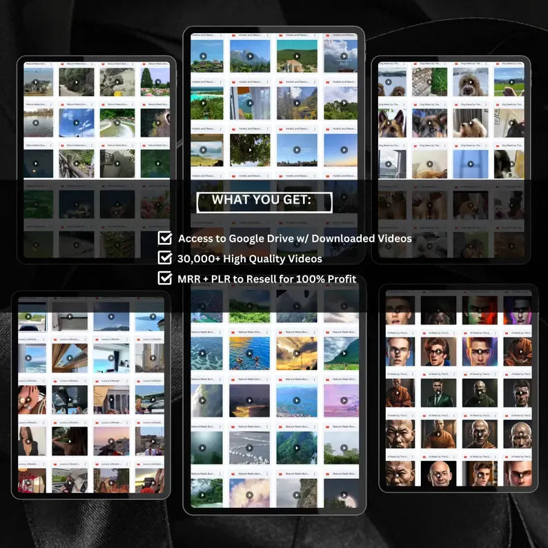 30,000+Awesome Faceless Reels Bundle! Faceless Instagram Reels with Master Resell Rights PLR Resell